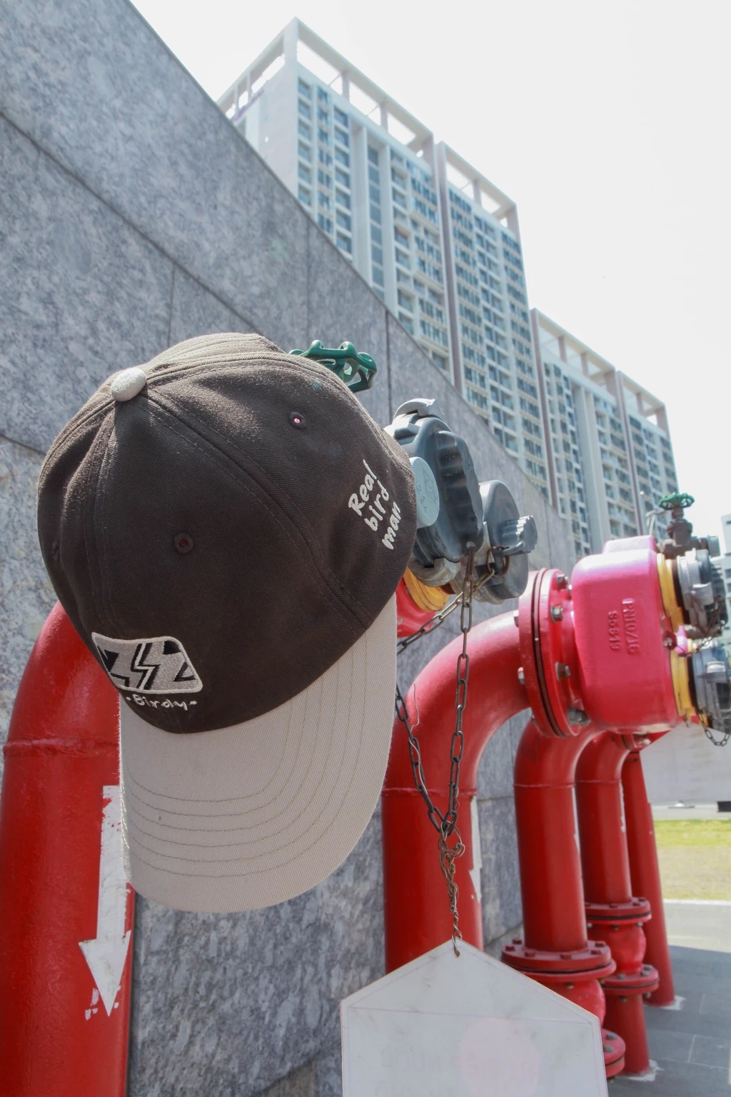 Nón lưỡi trai nam nữ BIRDY COLOR BASEBALL CAP chất liệu vải kaki cao cấp, form cứng