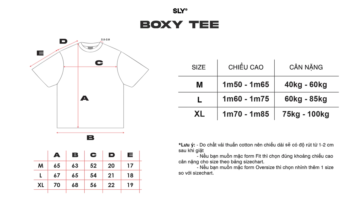 Áo thun BOXY SLY Thêu xù màu Xanh / Trắng