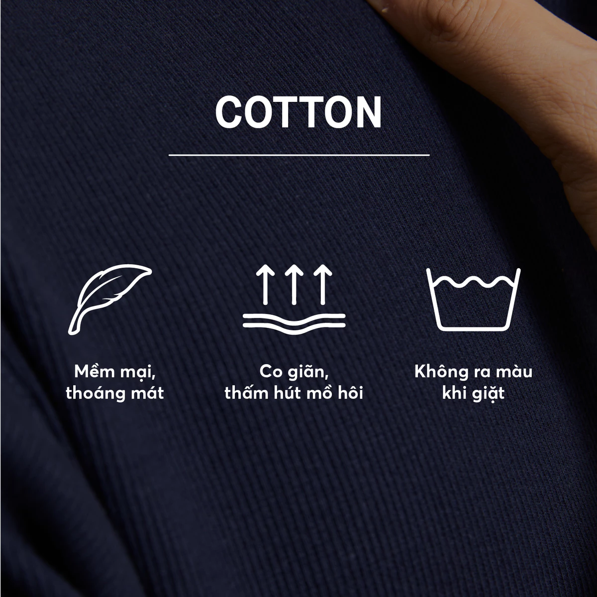 Áo Thun Unisex Cotton Cổ Tròn ICONDENIM Form Suông Basic Tee. Co Giãn 4 Chiều ATID0122