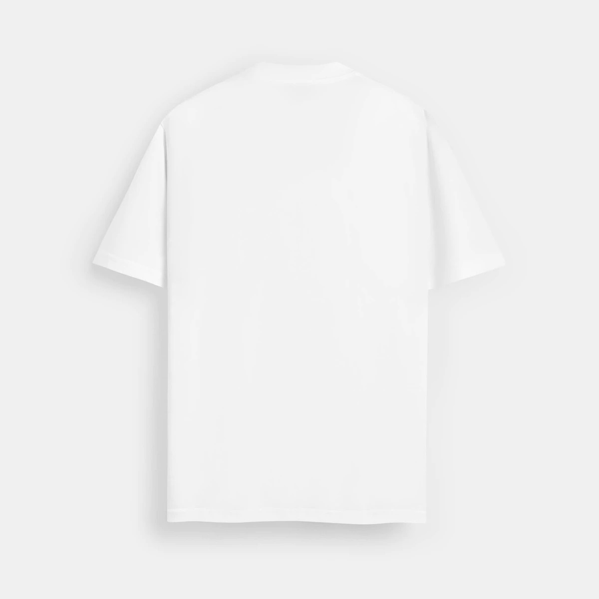 Eleven - Áo Thun Unisex Nam Nữ In Túi Mono | Màu Trắng