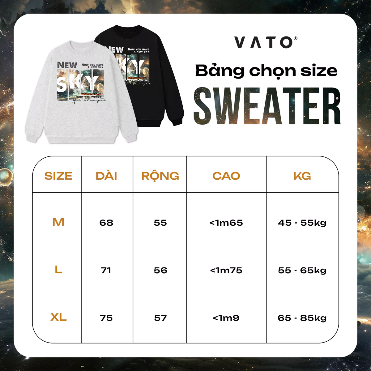 Áo Sweater nỉ bông siêu ấm NEW SKY( mẫu áo colab với nhóm nhạc Dalab)