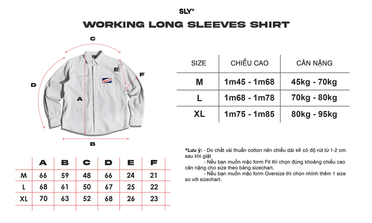 Áo Sơ mi tay dài Oxford SLY Working sọc xám