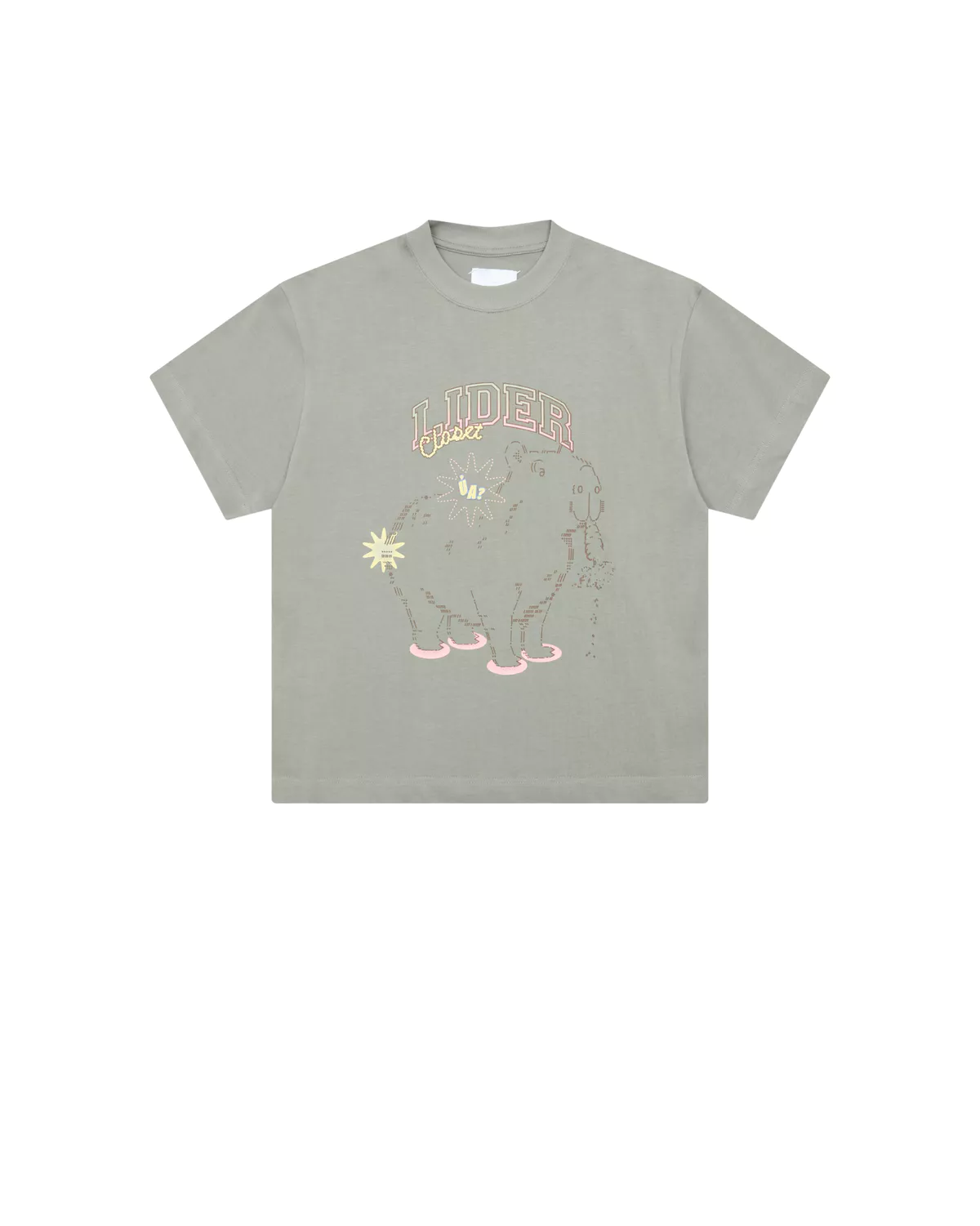 Áo Thun Unisex LIDER Phát Ra Tiếng Capybara Ủa Chất Cotton 2 Chiều