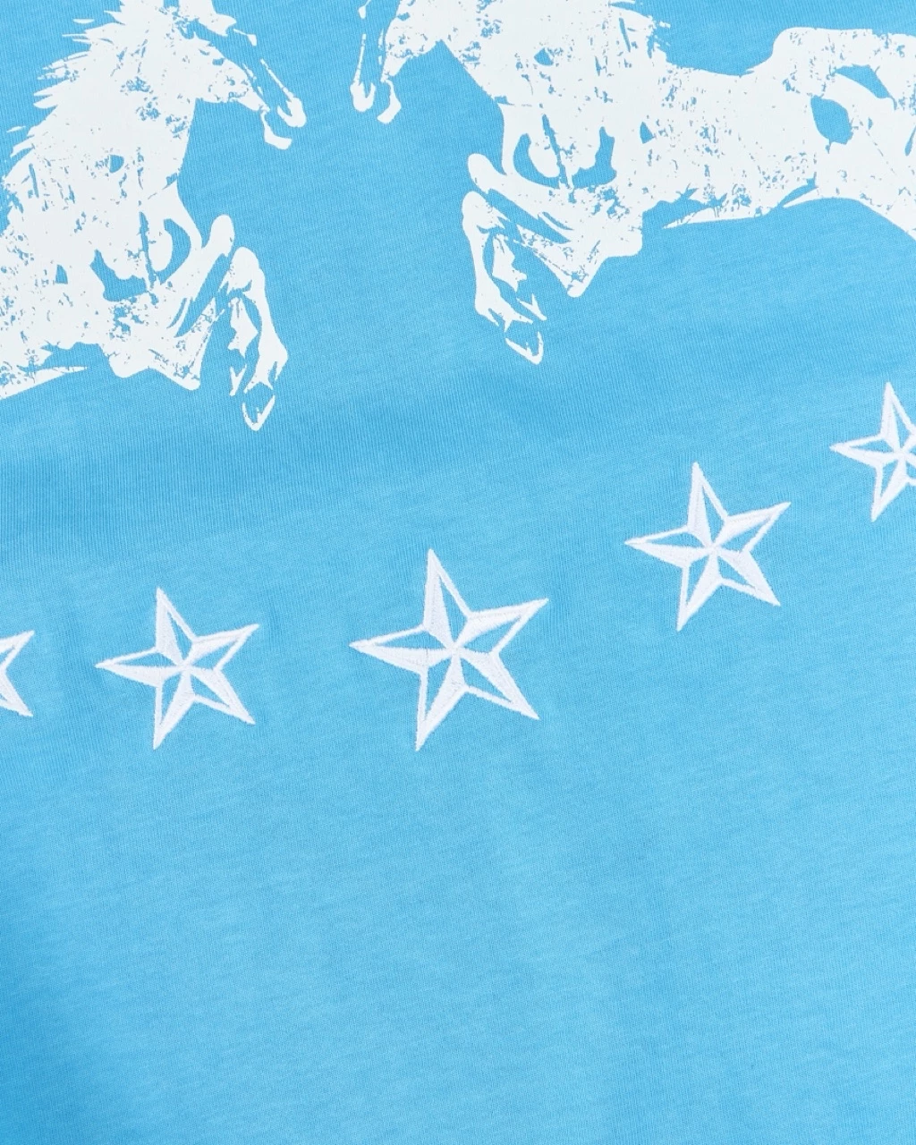 Áo Thun InsaneClo TWIN HORSE TEE Form Unisex Vải Thun Cotton